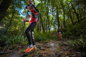 BIB: 
                            <button type="button" onclick="openModal(19230123)" class="btn btn-primary btn-sm float-right btn-popup" data-toggle="modal" data-target=".modal-high-quality">
                        <i class="fas fa-shopping-cart"></i> Add to Cart
                    </button>
                                            <button type="button" onclick="isThisMe(19230123, true)" class="btn btn-success btn-sm float-right btn-popup btn-isme hidden" data-toggle="tooltip" data-placement="bottom" title="นี่คือรูปของคุณใช่ไหม คลิกที่นี่เพื่อเอาเข้าอัลบั้ม">
                        <i class="fas fa-plus"></i> Add to album
                    </button>
                    <button type="button" onclick="isThisMe(19230123, false)" class="btn btn-warning btn-sm float-right btn-popup btn-isnotme hidden">
                        <i class="fas fa-ban"></i> Remove from album
                    </button>